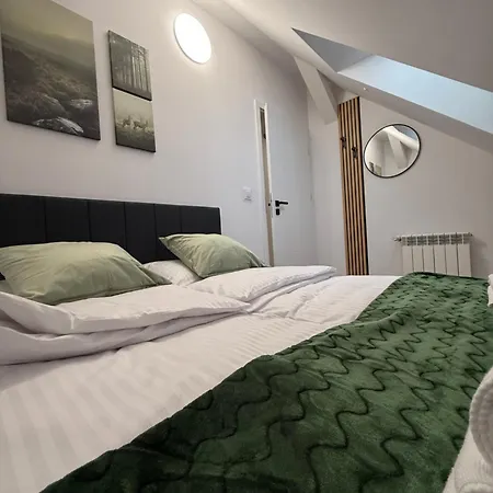 Mickiewicz House 公寓式酒店 瓦多维采