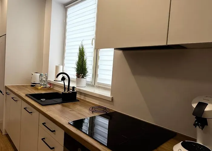 Mickiewicz House 아파트호텔 3*